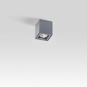 Boxy+ Outdoor Ceiling Light
