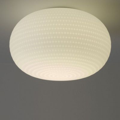 Bianca Wall and Ceiling Light