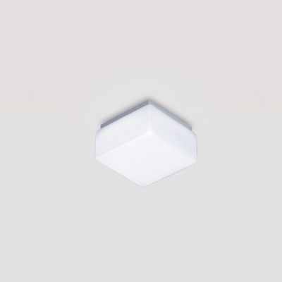 Falea Wall- and Ceiling Lamp