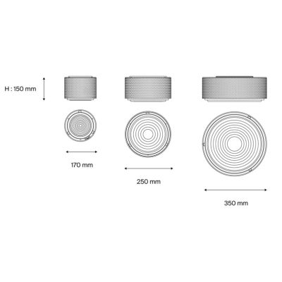 G13 Wall and Ceiling Light