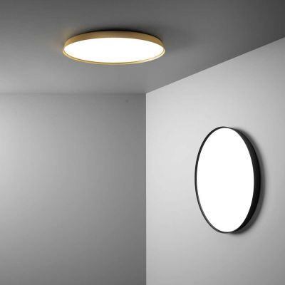 Compendium Plate Wall- and Ceiling Lamp