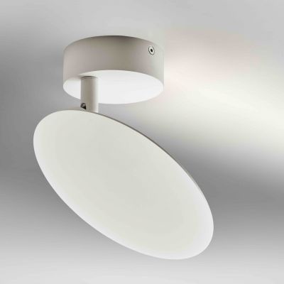Plate Wall and Ceiling Light