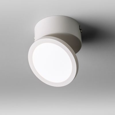 Pook Ceiling Light