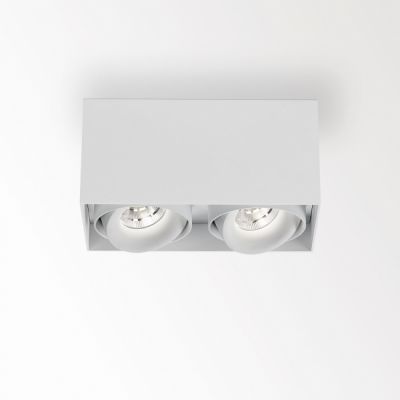 Minigrid On Ceiling Light 2-light