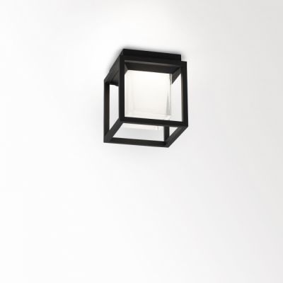 Montur LED Wall and Ceiling Light