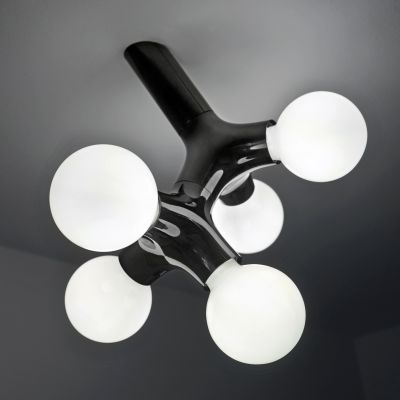 DNA Double Wall and Ceiling Light