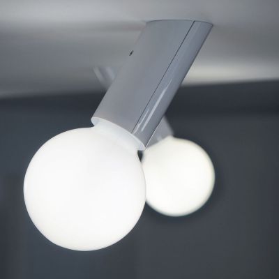 DNA Easy Wall and Ceiling Light - White Special Offer