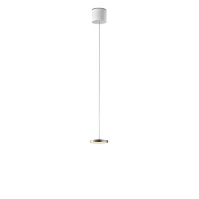Decent Pendant Light with Cable Lift