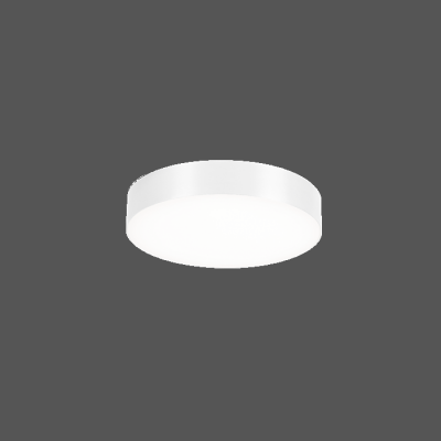 Roby Ceiling Light