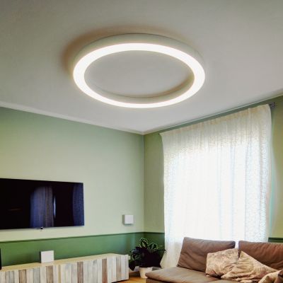 Silver Ring Ceiling and Wall Light