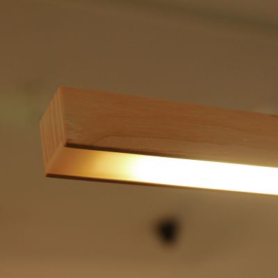 LED28 Pendant Light